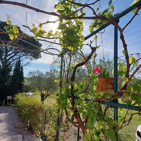 Vento E Mare Bed and Breakfast Riotorto Εξωτερικό φωτογραφία