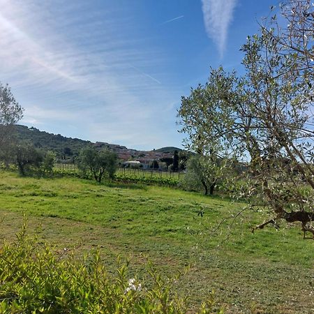 Vento E Mare Bed and Breakfast Riotorto Εξωτερικό φωτογραφία