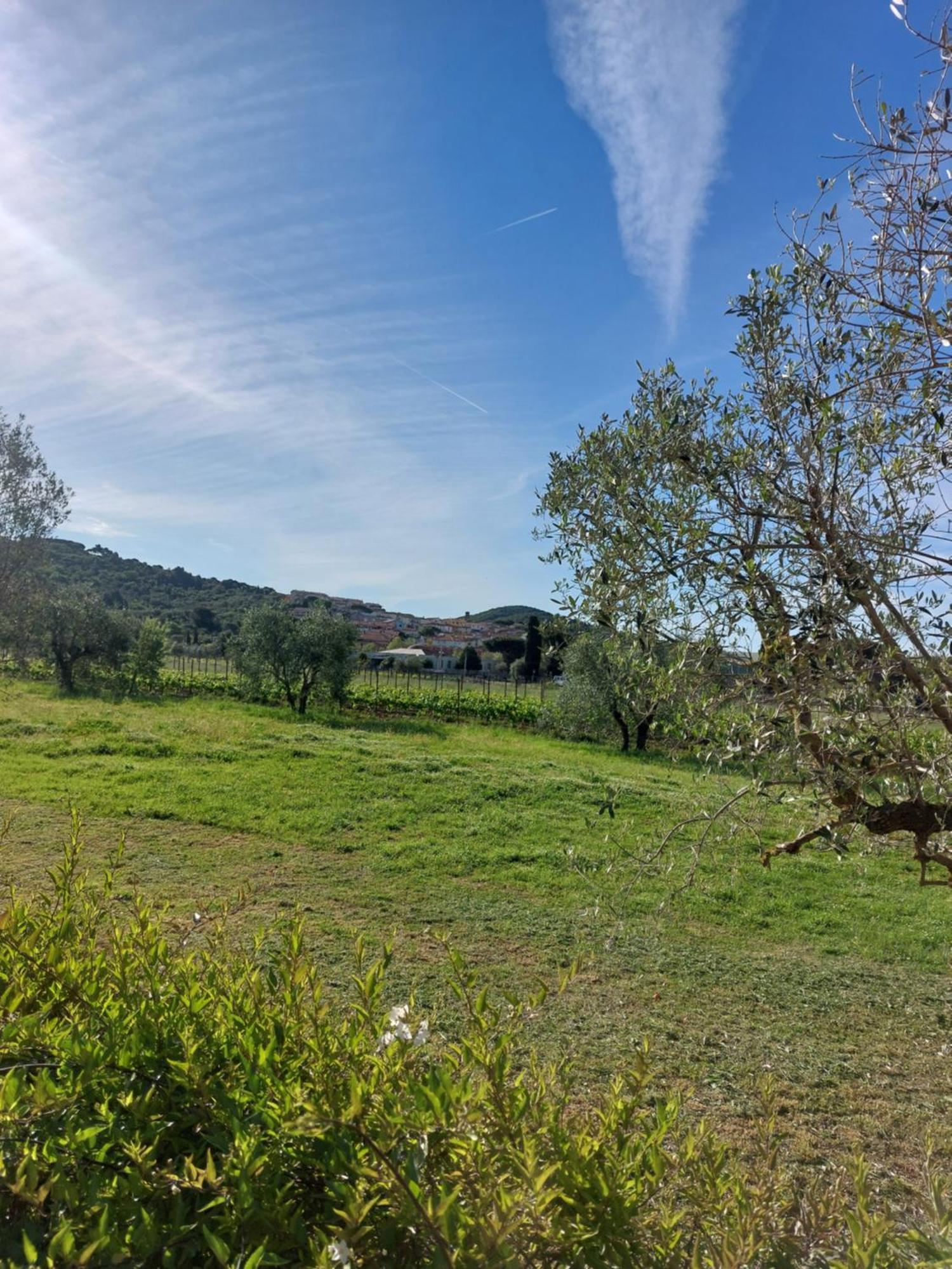 Vento E Mare Bed and Breakfast Riotorto Εξωτερικό φωτογραφία